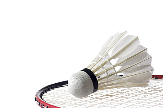 名的选手 名的选手