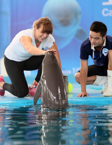 西卡低中位 西卡低中位